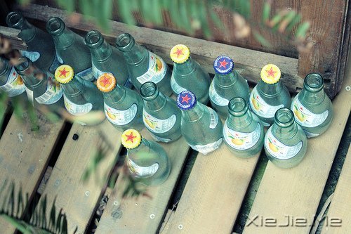 晚安心语:坚强向上,靠近阳光 (9)