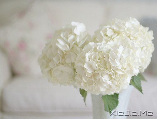 若你懂得,就请珍惜 (10)