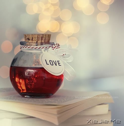 不要停止追赶某些东西,比如梦想 (10)