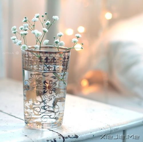 不要停止追赶某些东西,比如梦想 (12)