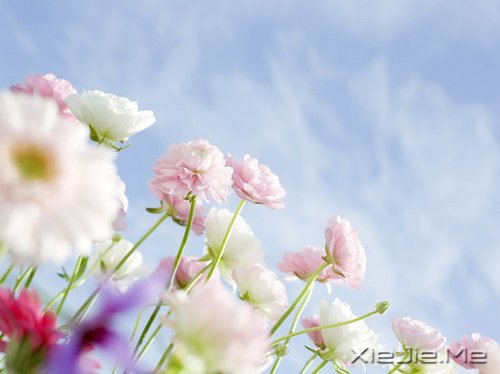 安静下来才能看到真实的自己 (7)