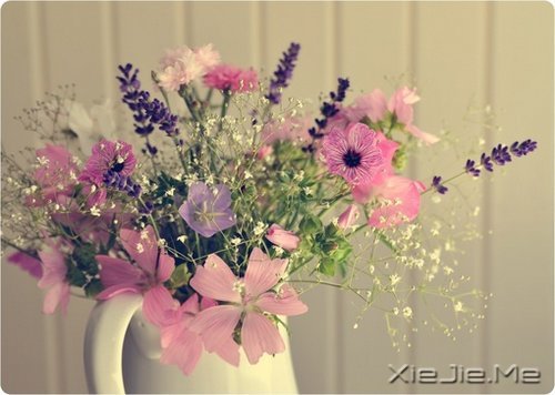 生命是一首悲欢交集的歌,我们都是那个唱歌的人 (7)