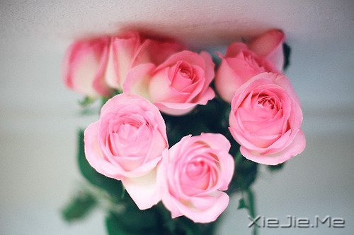 时光如此珍贵,只是我们一去不回 (8)