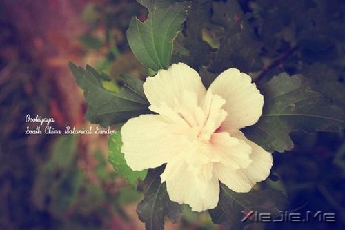 淡然一切,往事如烟 (5)