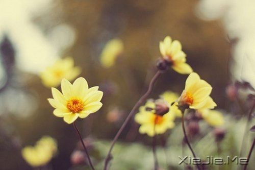 淡然一切,往事如烟 (8)