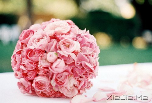 找一个属于自己的地方,在眼泪中懂得遗忘的伤 (4)