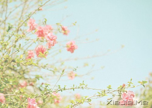 找一个属于自己的地方,在眼泪中懂得遗忘的伤 (9)