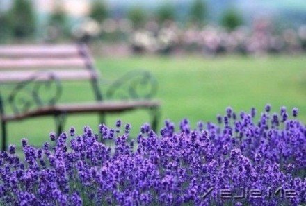 要替别人着想,但为自己而活 (8)