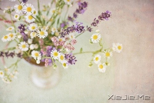 活得平和,才能在心里装下满满的幸福 (2)