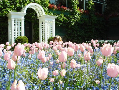 默然相爱,寂静喜欢 (4)