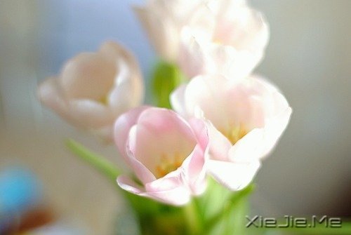 跑不过时间就跑过昨天的自己 (3)