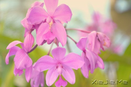 跑不过时间就跑过昨天的自己 (7)