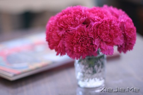 幸福应该是来得巧,而不是来得多 (7)