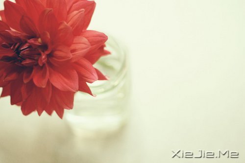 幸福,就是春夏秋冬,悠然自在 (6)