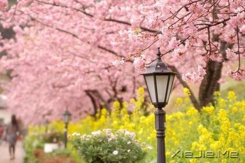 一路感恩,且行且珍惜 (7)