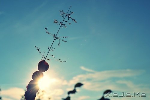 晚安心语:静守时光,以待流年 (10)