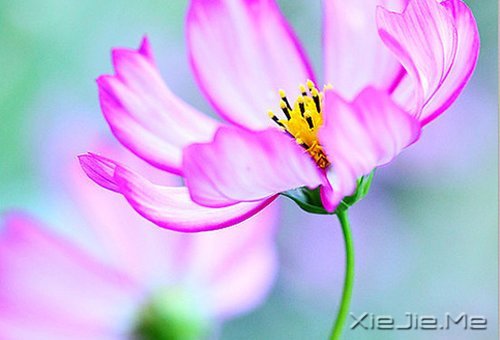 晚安心语:心复杂,世界就是迷宫 (1)