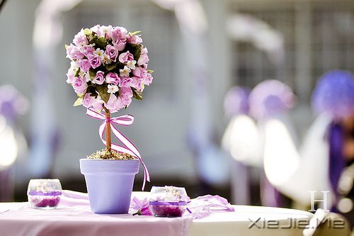 晚安心语:给时光以生命,而不是给生命以时光 (6)