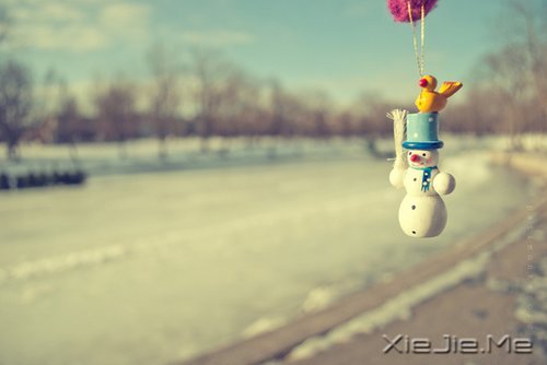 晚安心语:给时光以生命,而不是给生命以时光 (8)