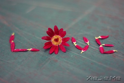 晚安心语:远处的是风景,近处的才是人生 (5)