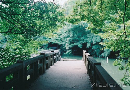 早安心语:过去的就过去了,世界依然美好 (2)