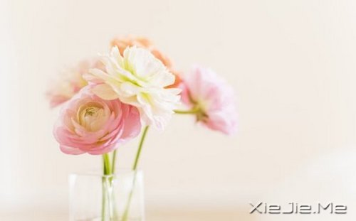 早安心语:得意时要看淡,失意时要看开 (1)