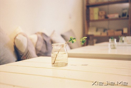 时间不仅让你看透别人,也让你认清自己 (9)