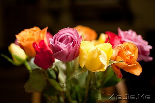 早安心语:你想要的,岁月都会给你 (6)