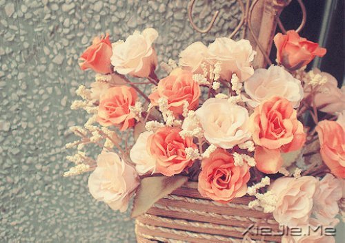 若不是终点,请微笑一直向前 (6)