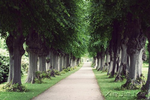 早安心语:宠爱自己,才是最重要的 (1)