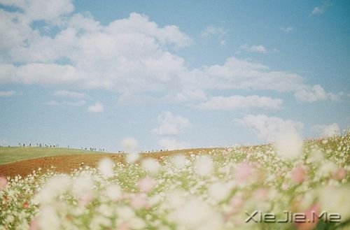 早安心语:淡然,是人生的一种成长 (6)