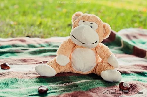 晚安心语:勇敢生活,微笑面对 (3)