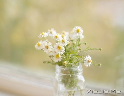 晚安心语:青春带着疼痛,却又义无反顾 (2)