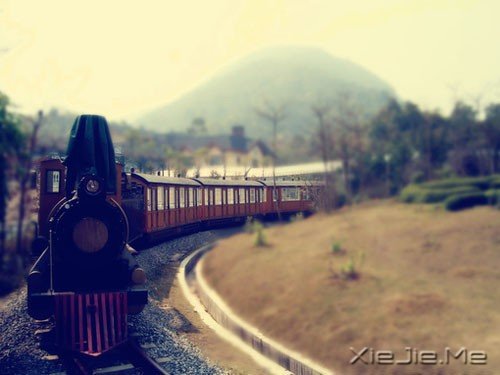 早安心语:掌一盏灯,惊艳世间 (1)