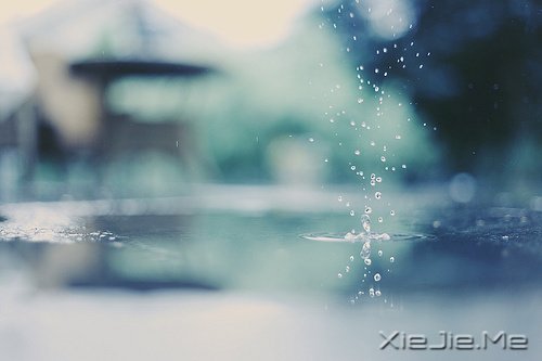 早安心语:我正在努力变成自己喜欢的那个自己 (3)