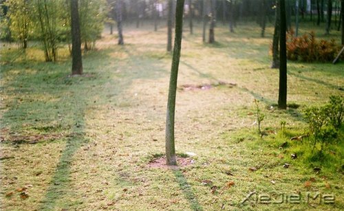 早安心语:成为自己想成为的人,这从来不迟 (3)