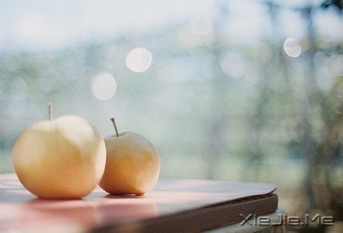 早安心语:成为自己想成为的人,这从来不迟 (10)