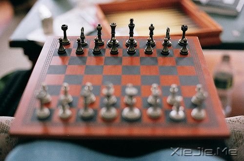 早安心语:心里踏实了,脚下的路才能走得安稳 (10)