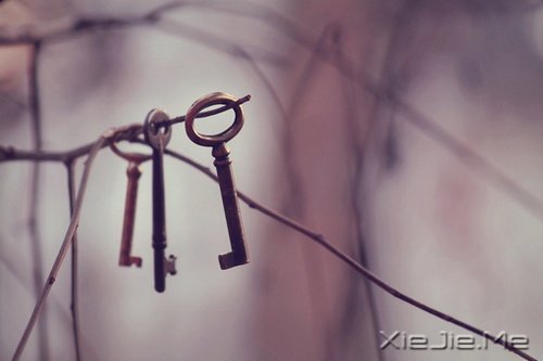 晚安心语:幸福就在身边,知足便是天堂 (4)