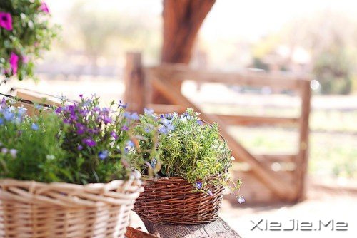 晚安心语:不要因为走得太远,忘了我们为什么出发 (5)