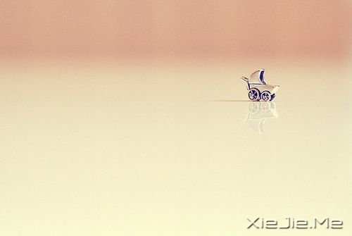 早安心语:千万个美丽的未来,抵不上一个温暖的现在 (10)