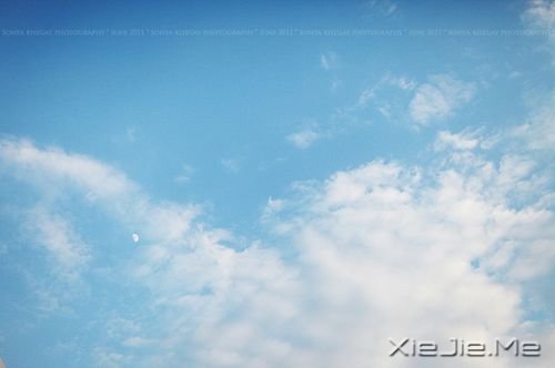 早安心语:照顾每个人的感受,注定自己不会好受 (3)