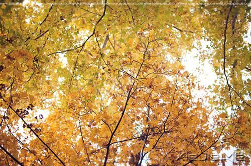 早安心语:自己的笑容才是最美的风景 (10)