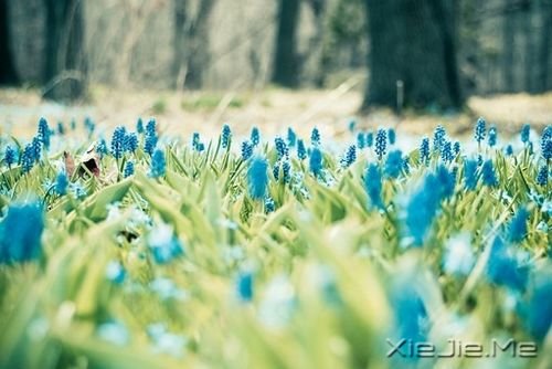 早安心语:只要你在走,总会看到进步 (8)