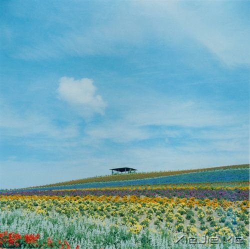 晚安心语:逝去的东西,最好不见,最好不念 (2)