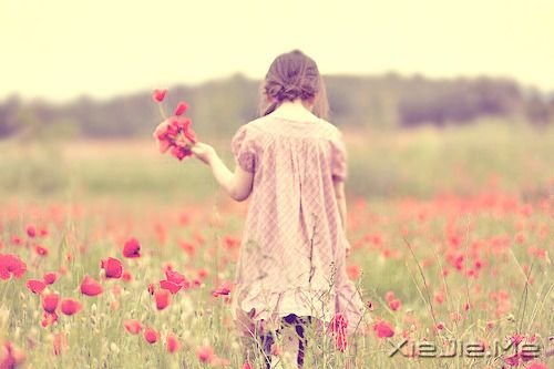 晚安心语:选择一条正确的路,坚定的走下去 (1)