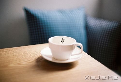 晚安心语:我的愿望是,一觉睡到小时候 (10)