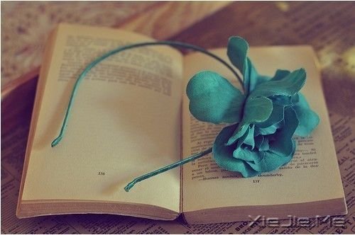 晚安心语:习惯了寂寞之后,一个人就是全世界 (10)