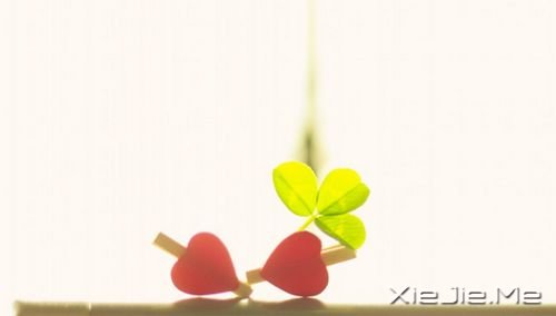 早安心语:不是因为我执着,而是因为你值得 (6)