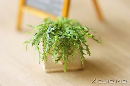 晚安心语:跟随自己的心,而不是随波逐流 (1)